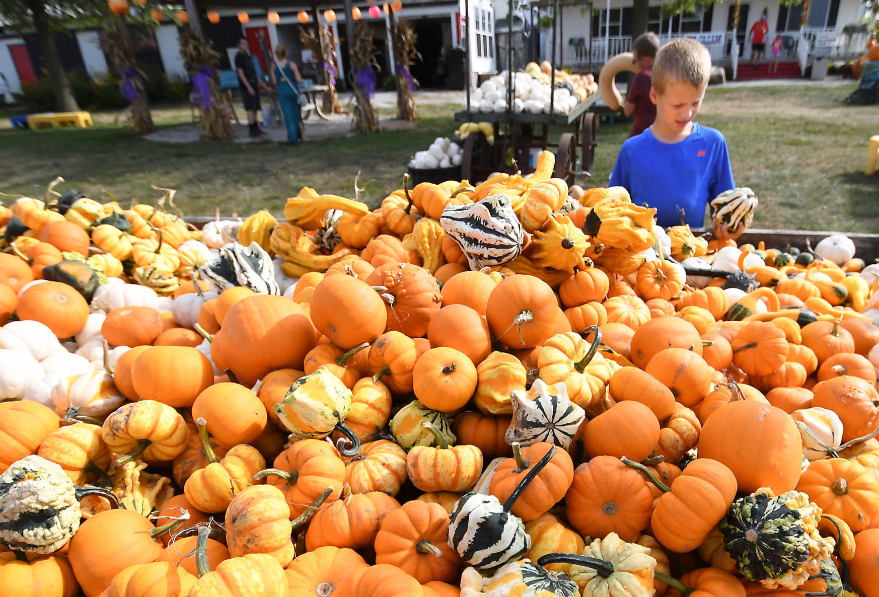 Black Bart’s Pumpkin Patch